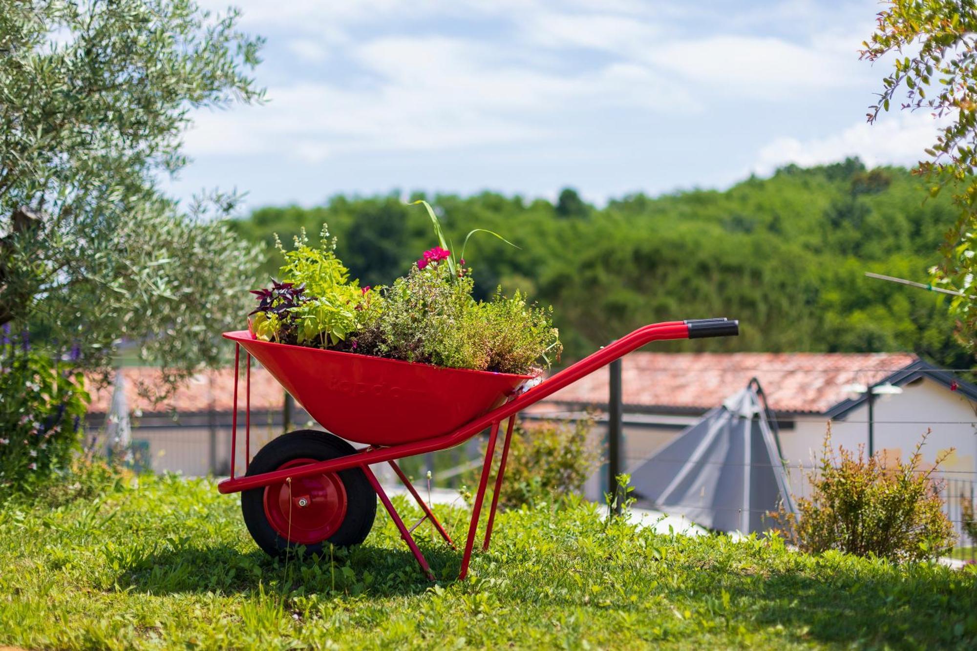 Kamp Brda Camping And Rooms Kojsko Exterior photo