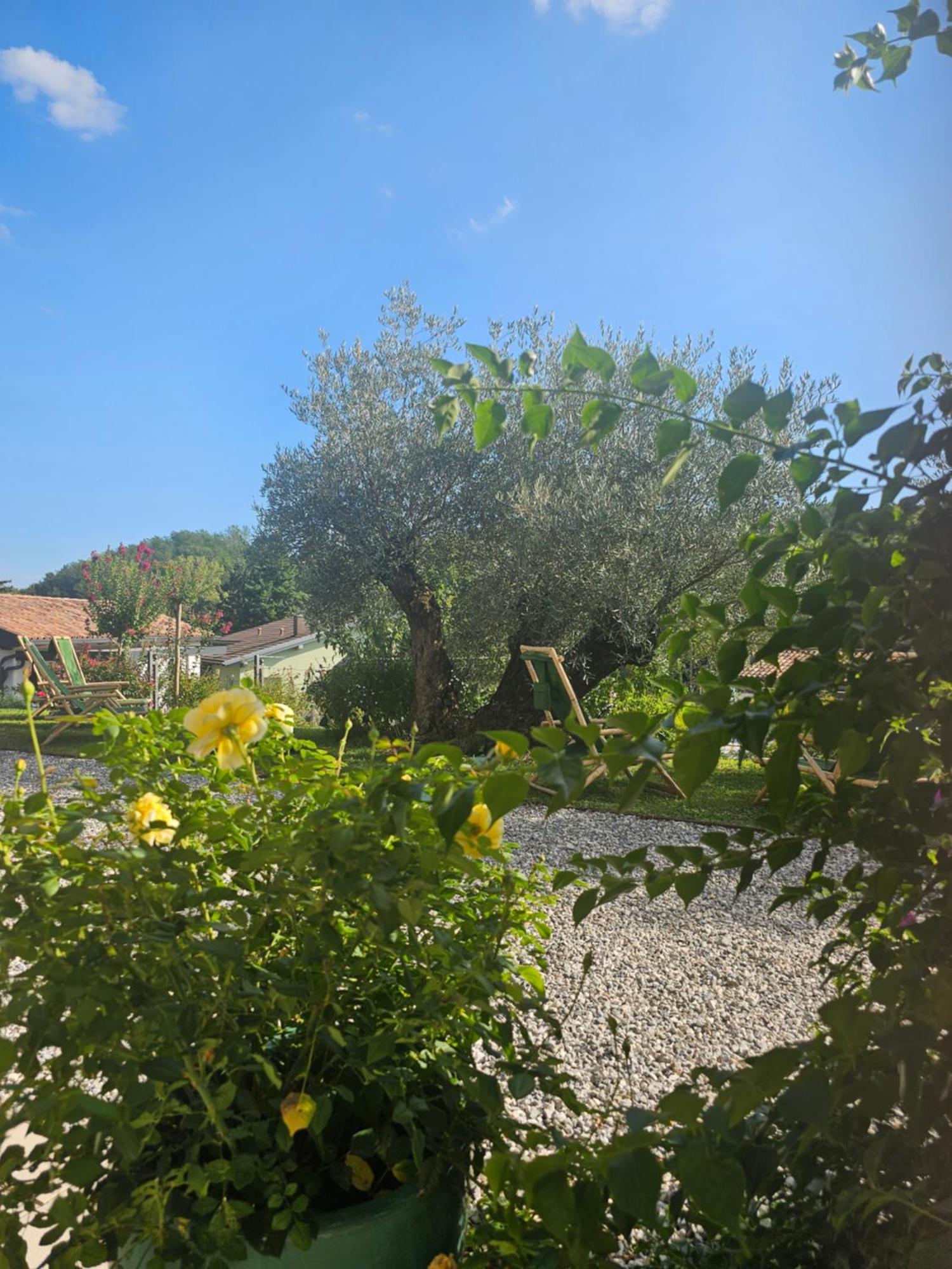 Kamp Brda Camping And Rooms Kojsko Exterior photo