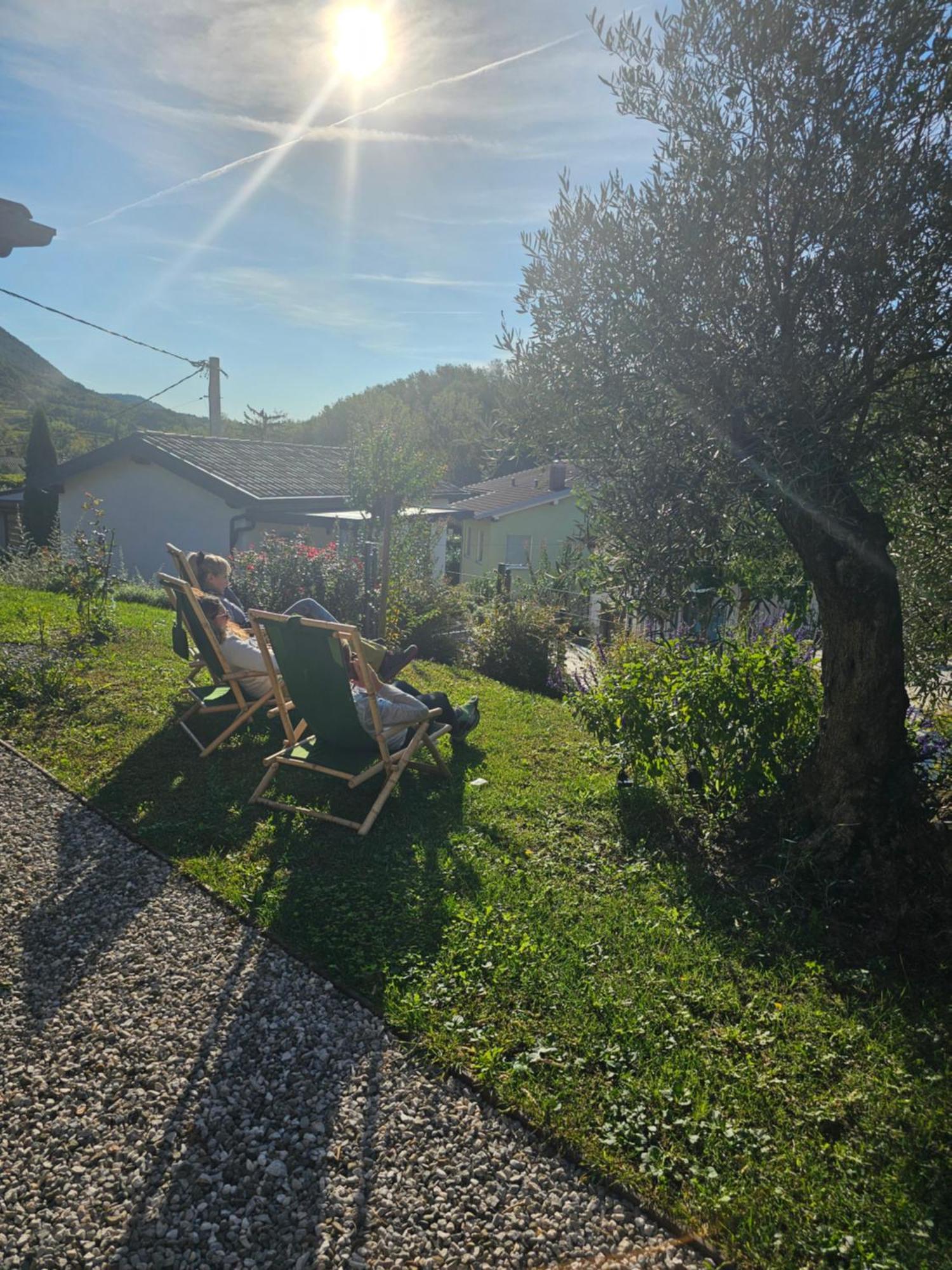 Kamp Brda Camping And Rooms Kojsko Exterior photo